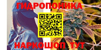 ПСИЛОЦИБИНОВЫЕ ГРИБЫ Партизанск