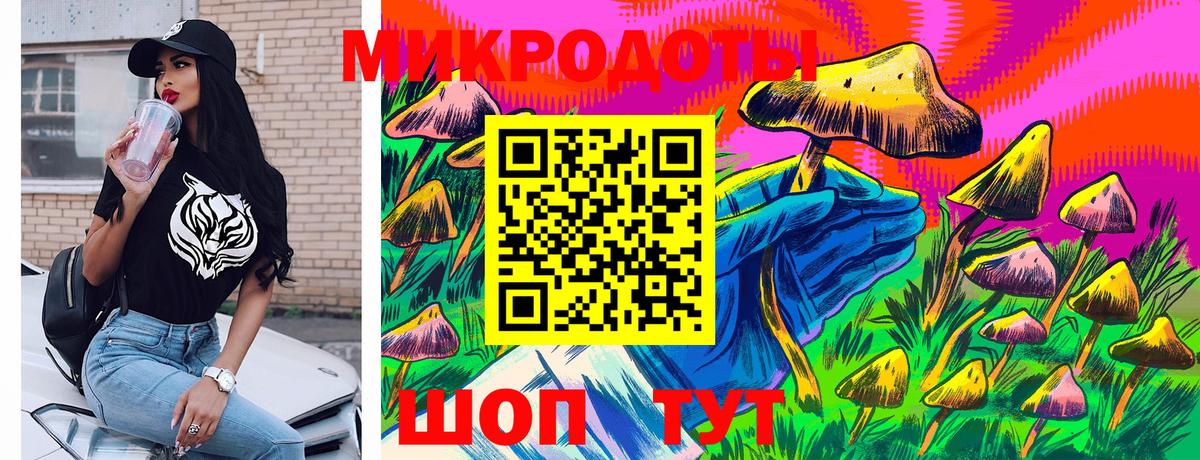 Галлюциногенные грибы Psilocybe Псков