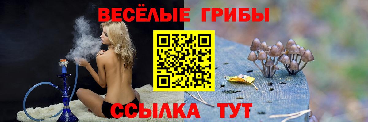 цена наркотик  Галлюциногенные грибы мухоморы  Вход с VPN  Псков 